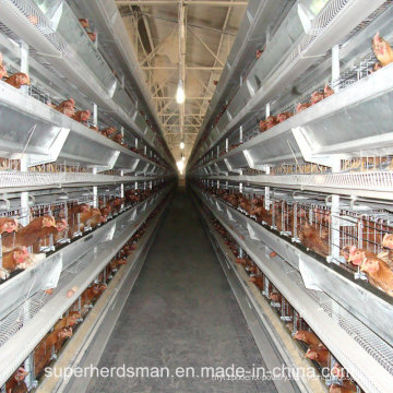Auto Poultry Farm Machinery for Layers and Broilers